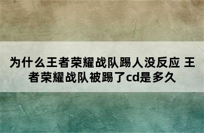 为什么王者荣耀战队踢人没反应 王者荣耀战队被踢了cd是多久